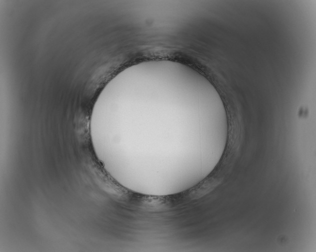 X0000111670624200908071459