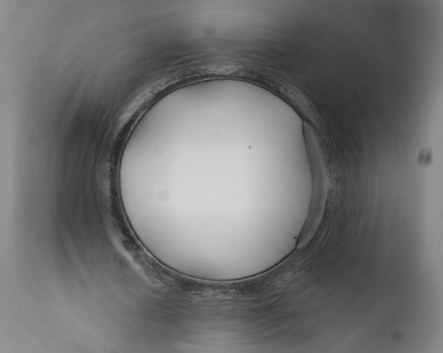 X0000111670626200908071458