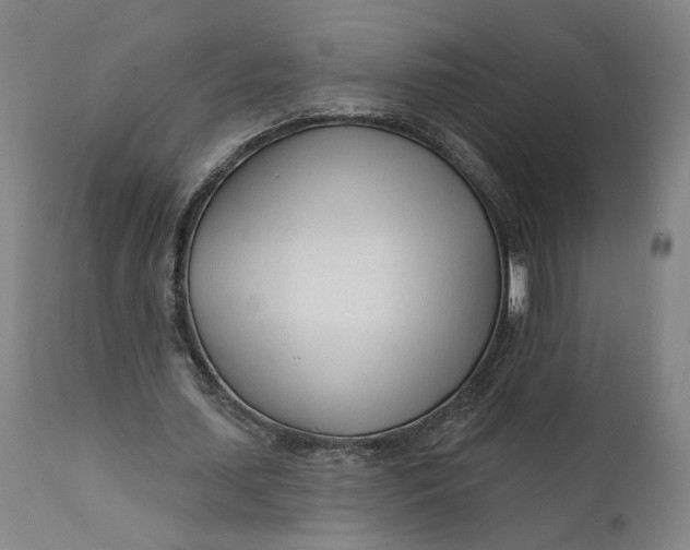 X0000111670627200908071458