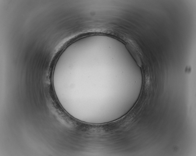 X0000111670628200908071458