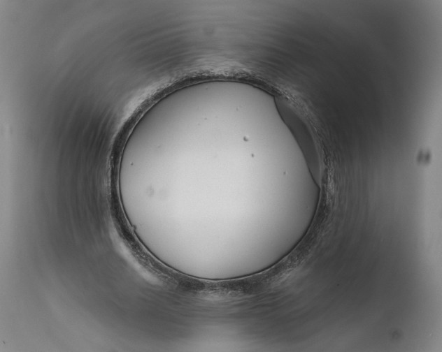 X0000111670630200908071458