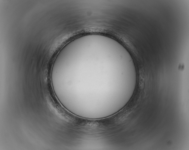 X0000111670631200908071458