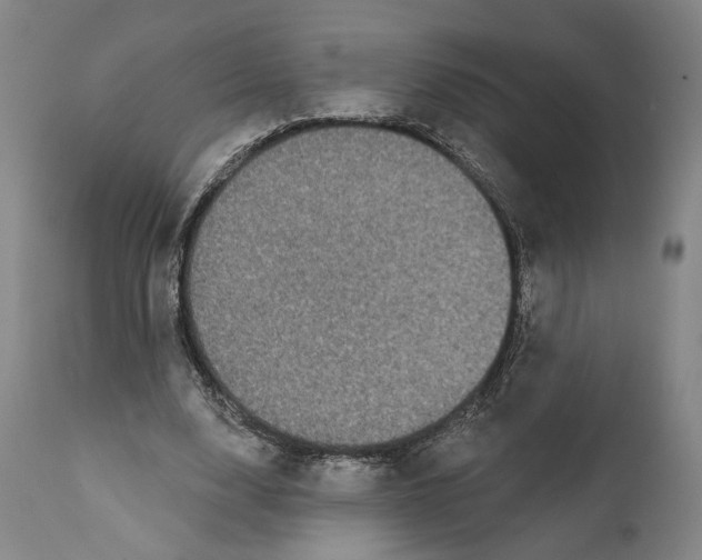 X0000111670632200908071458