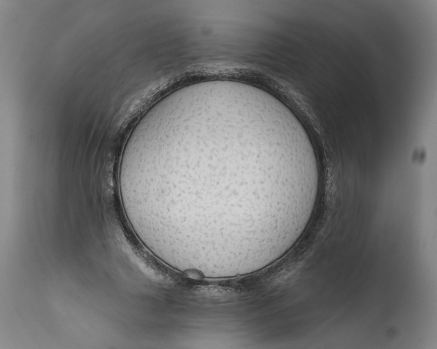 X0000111670633200908071458