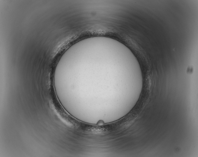 X0000111670638200908071458