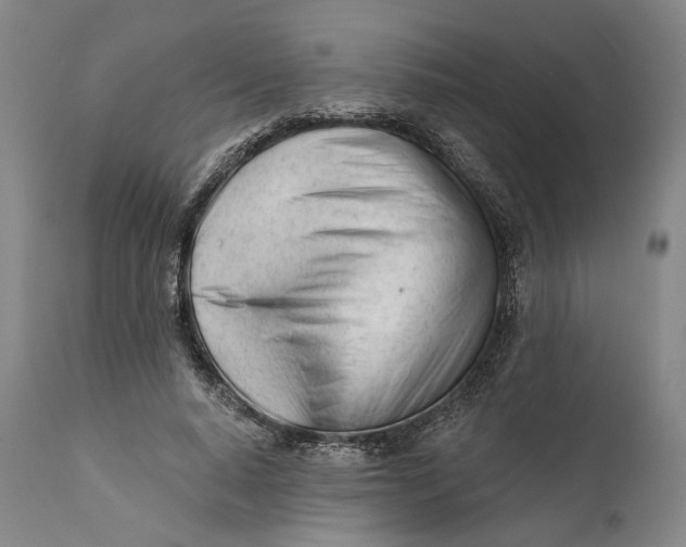 X0000111670640200908071458