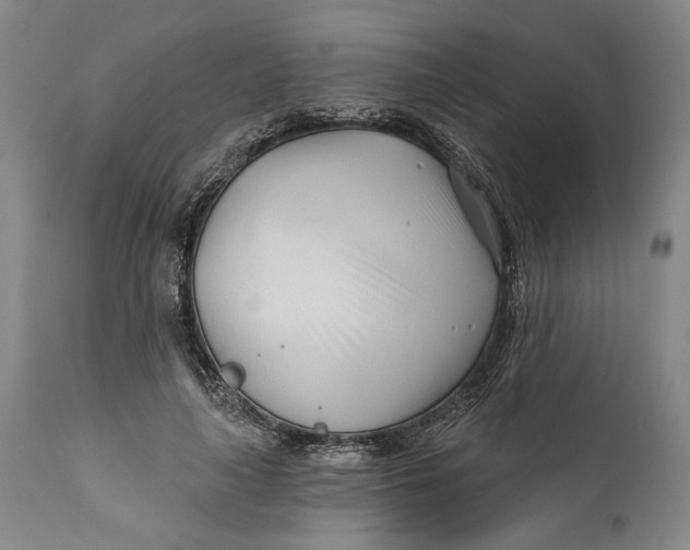 X0000111670643200908071458