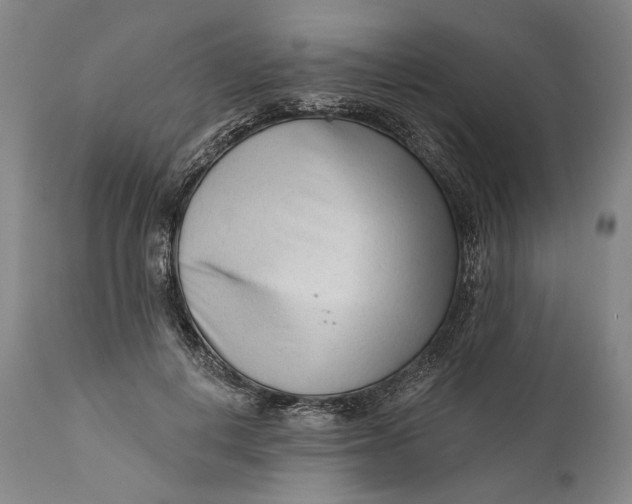 X0000111670648200908071458