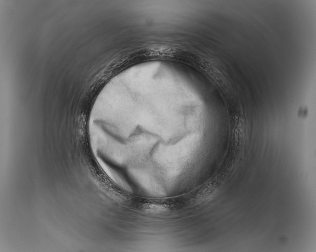 X0000111670649200908071458