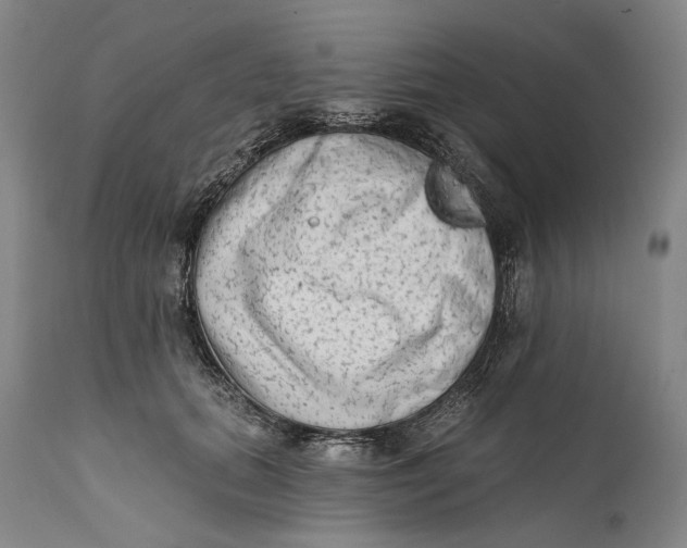 X0000111670655200908071458