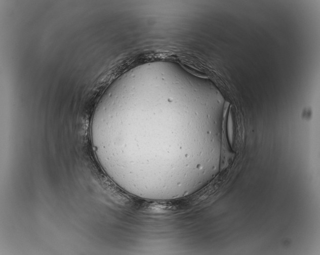 X0000111670657200908071458