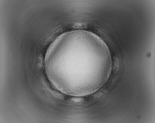 X0000111670659200908071459