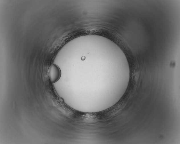 X0000111670660200908071459