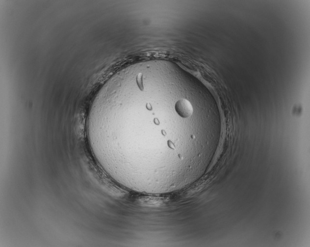 X0000111670661200908071459