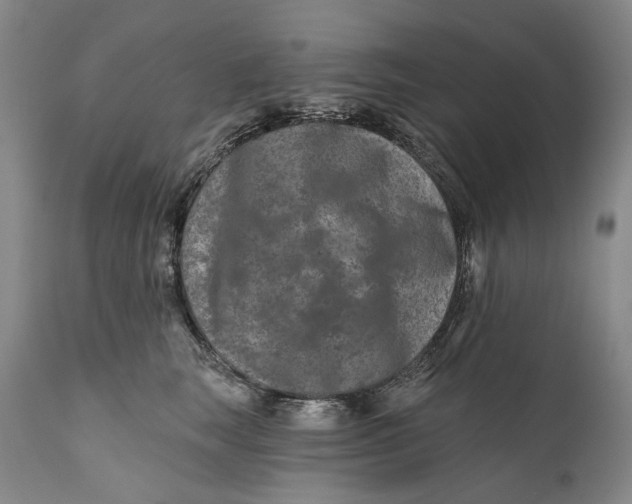 X0000111670663200908071459