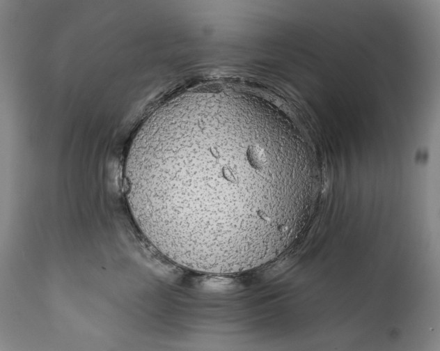 X0000111670669200908071459