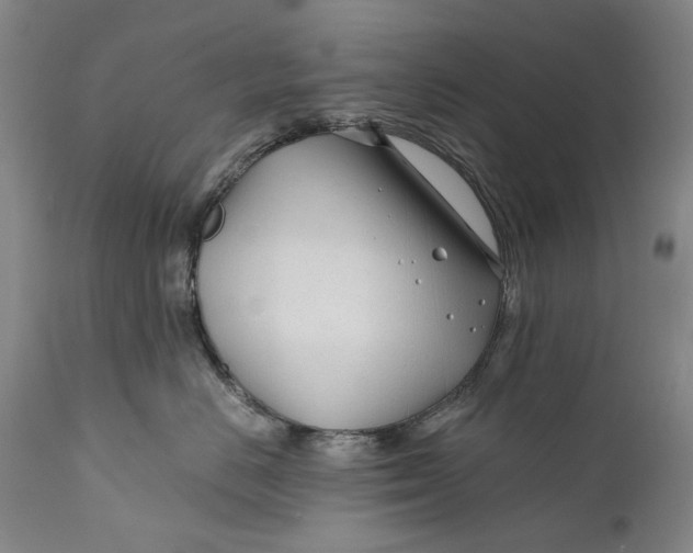 X0000111670670200908071459