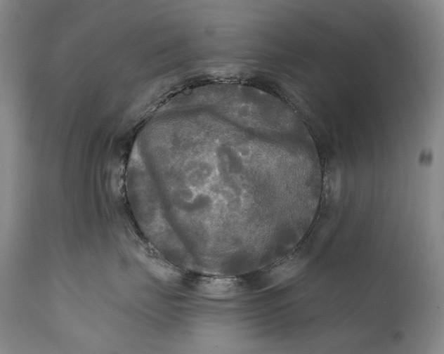 X0000111670671200908071459