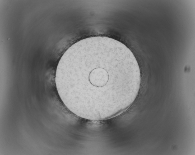 X0000111670672200908071459