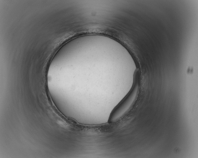 X0000111670673200908071458