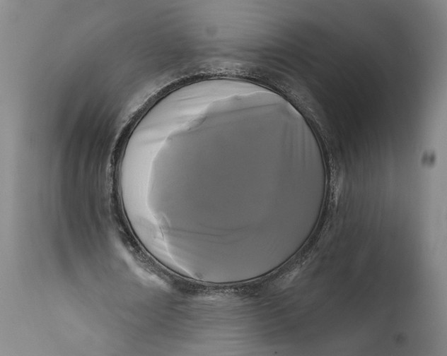 X0000111670674200908071458