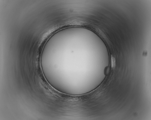 X0000111670675200908071458