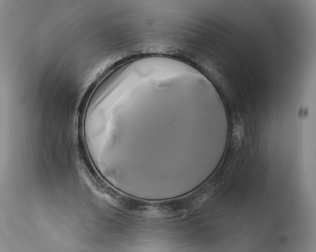 X0000111670678200908071458