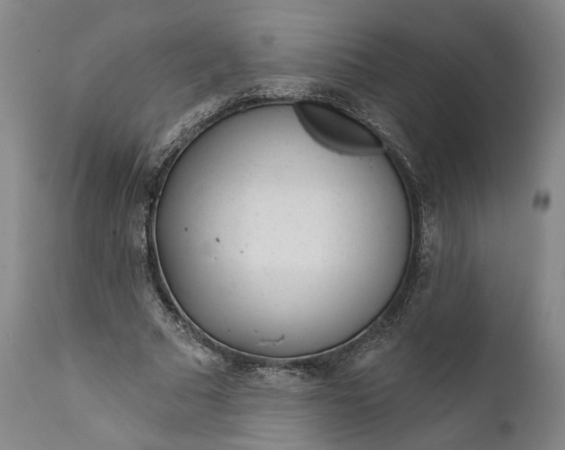 X0000111670681200908071458