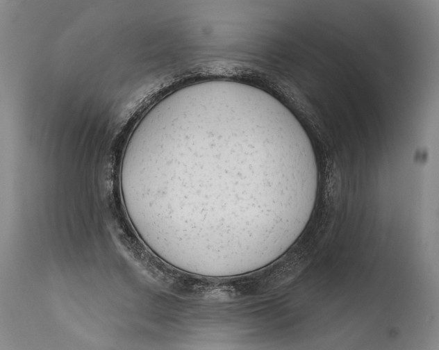 X0000111670683200908071458