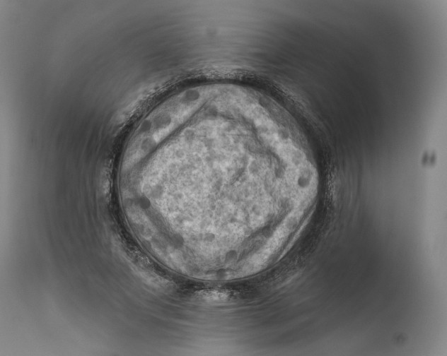 X0000111670687200908071458