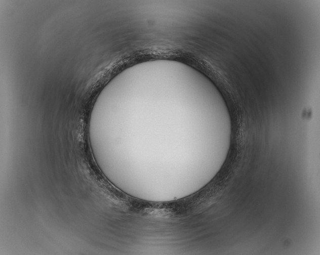 X0000111670689200908071458