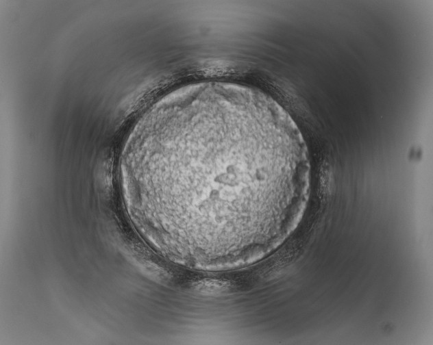 X0000111670691200908071458