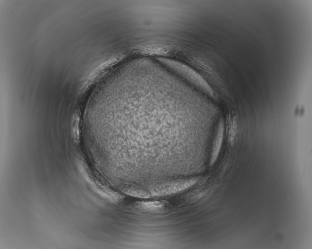 X0000111670692200908071458