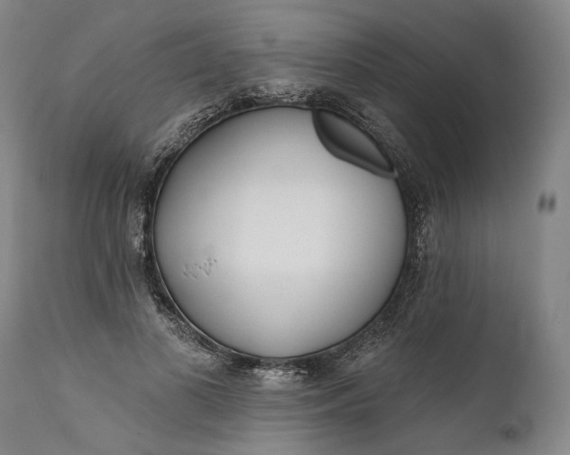 X0000111670693200908071458