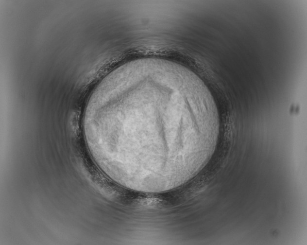 X0000111670695200908071458