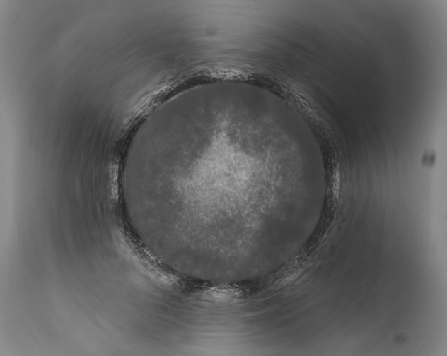 X0000111670696200908071458