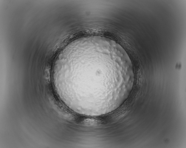 X0000111670699200908071458