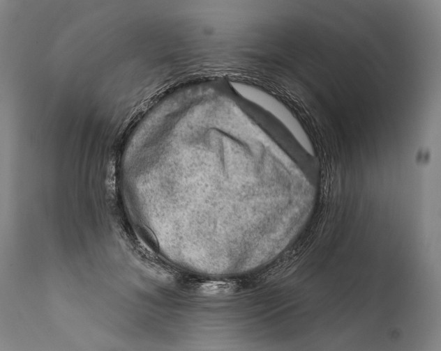 X0000111670700200908071458