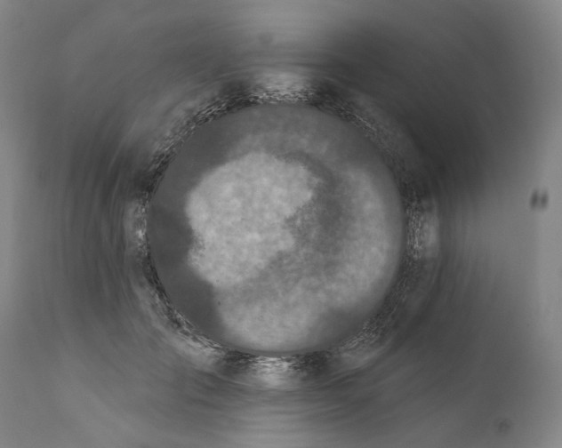 X0000111670701200908071457