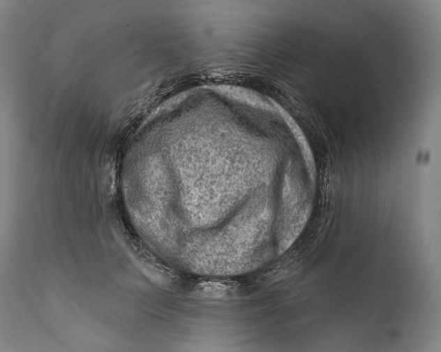 X0000111670703200908071457