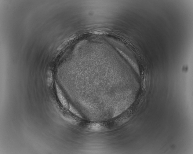 X0000111670704200908071457