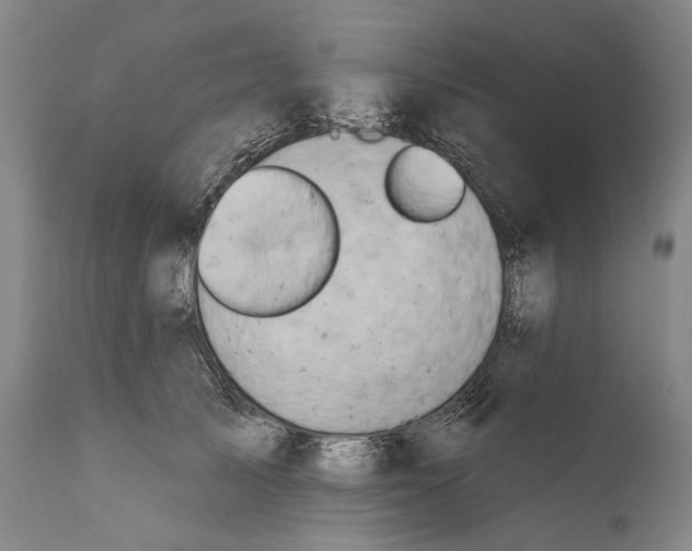 X0000111670705200908071457