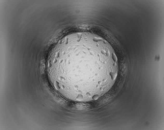 X0000111670707200908071457