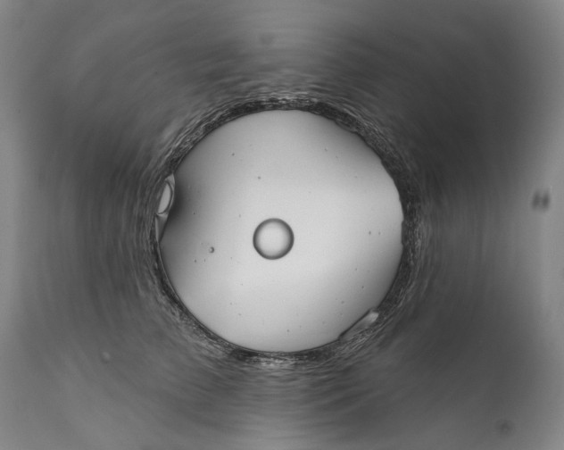 X0000111670709200908071457