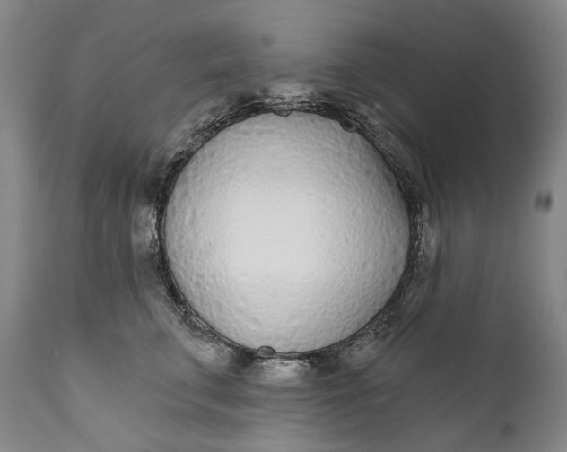 X0000111670711200908071457