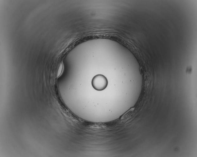 X0000111670712200908071457