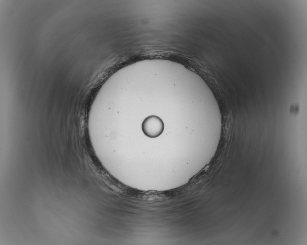 X0000111670716200908071457