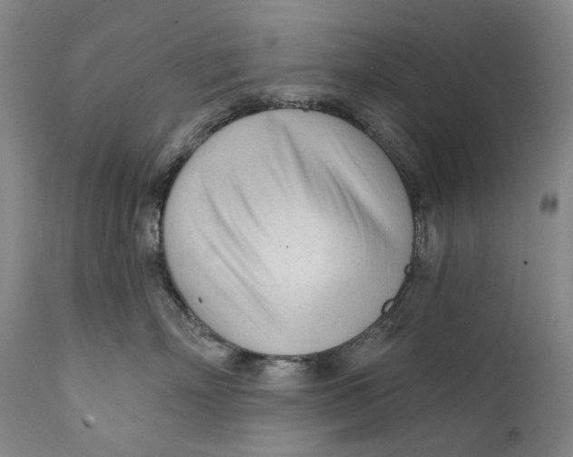 X0000111670718200908071457