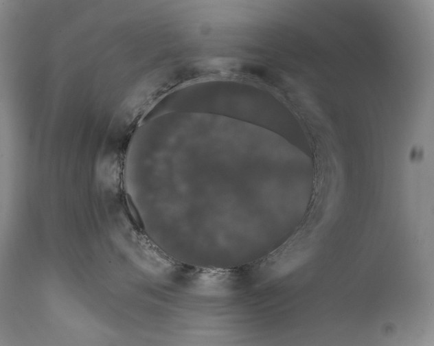 X0000111670720200908071457