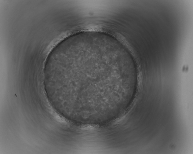 X0000111670721200908071457